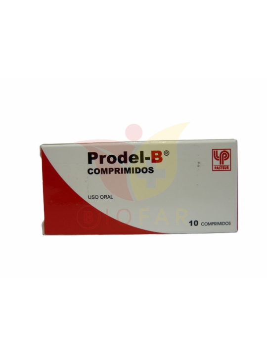 PRODEL B X10COM.