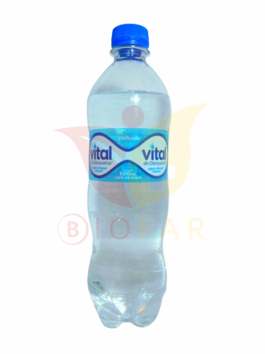 AGUA MINERAL VITAL C/GAS 600ML