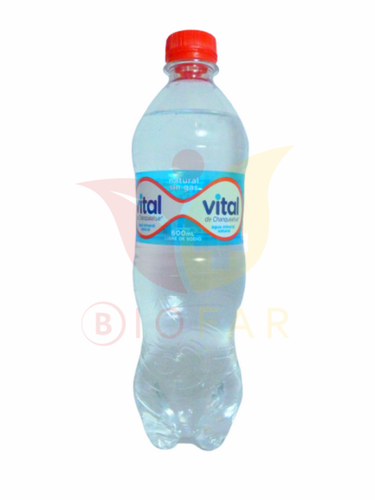 AGUA MINERAL VITAL S/GAS 600ML