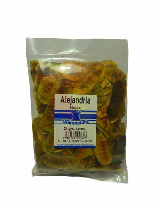 ALEJANDRIA HOJAS X24G