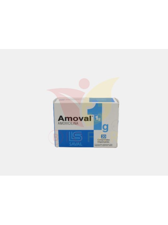 AMOVAL COM.1GR.20