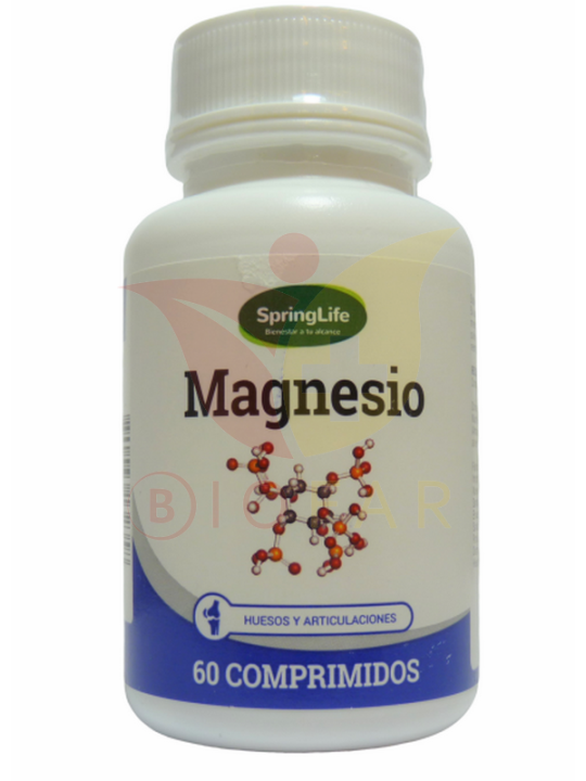 SL MAGNESIO X 60COM