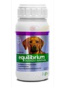 EQUILIBRIUM  VITAMINAS Y MINERALES X 60 COMP