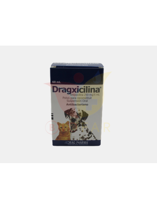 DRAGXICILINA 250MG/5ML X 60 ML