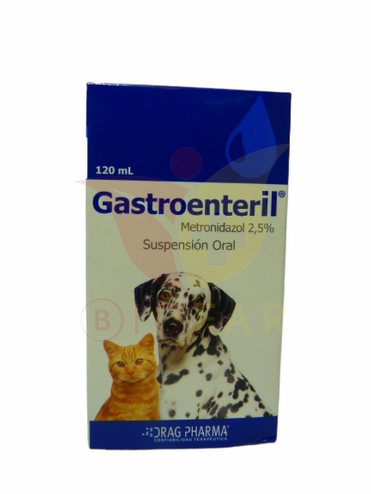 GASTROENTERIL SUS.ORAL 120ML