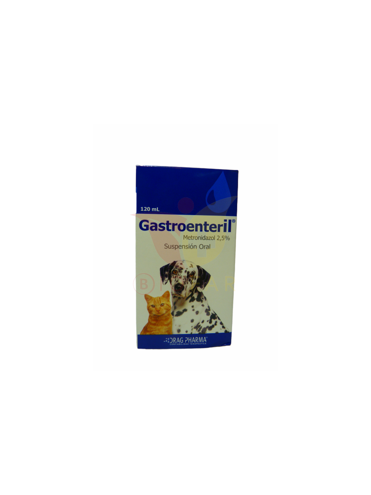 GASTROENTERIL SUS.ORAL 120ML