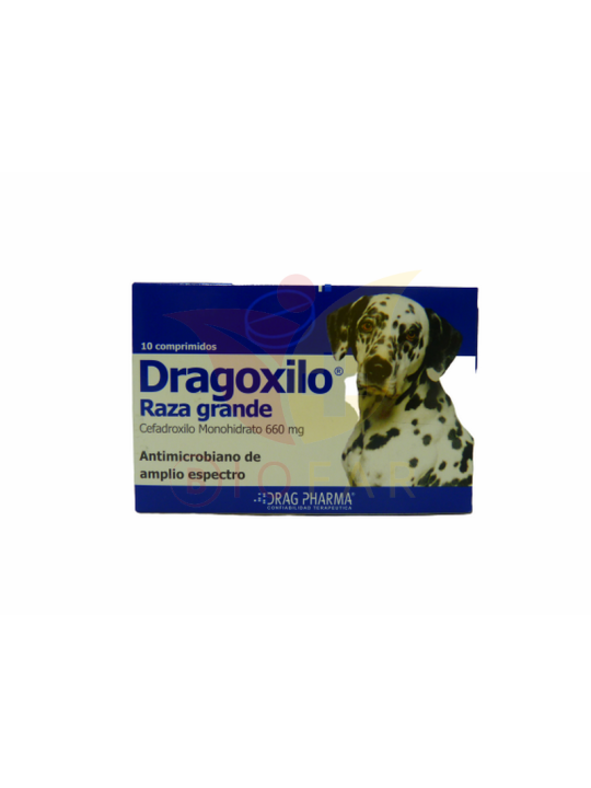 DRAGOXILO PERROS 660 X 10COM