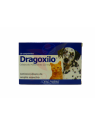 DRAGOXILO PERROS-GATOS 220 X  10COM