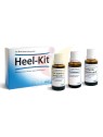 HEEL - KIT GTAS 30 ML X 3 FCOS