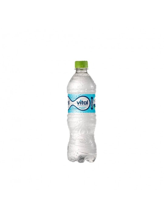 AGUA MINERAL VITAL C/GAS 600ML