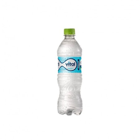 AGUA MINERAL VITAL C/GAS 600ML