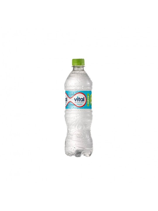 AGUA MINERAL VITAL S/GAS 600ML