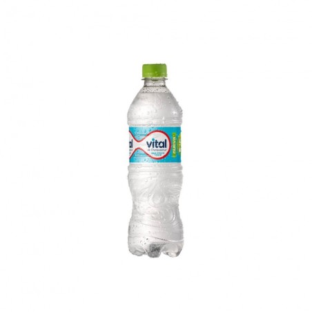 AGUA MINERAL VITAL S/GAS 600ML