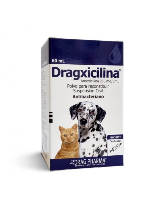 DRAGXICILINA 250MG/5ML X 60 ML