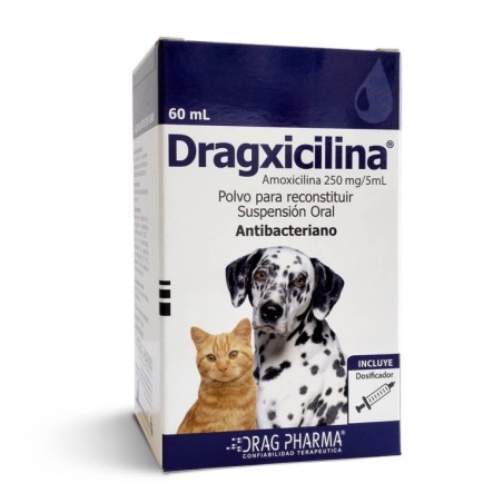 DRAGXICILINA 250MG/5ML X 60 ML