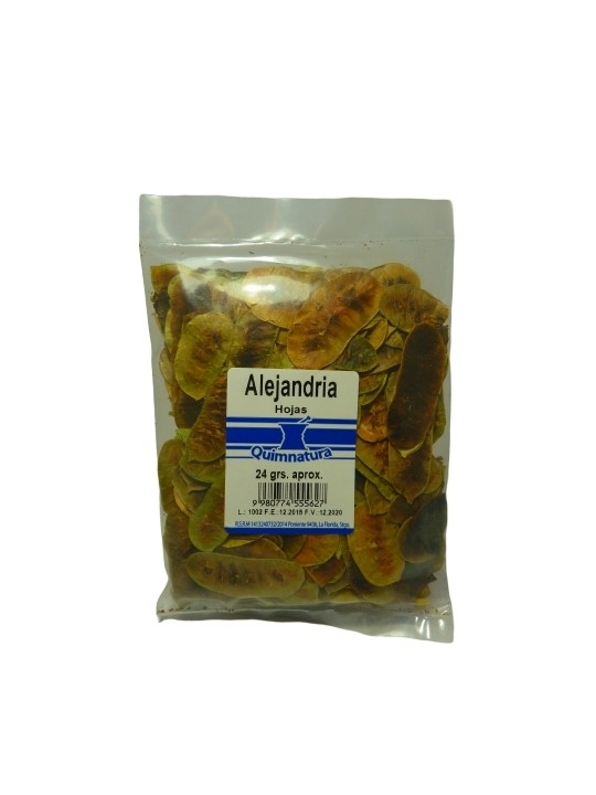 ALEJANDRIA HOJAS X24G