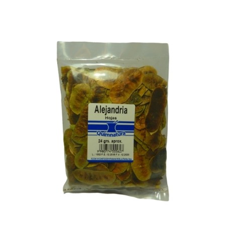 ALEJANDRIA HOJAS X24G