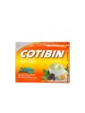 Cotibin Flu Eucalipto Día x 5 g