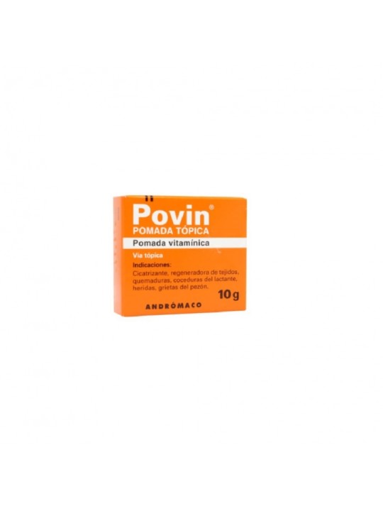 POVIN PDA.X10G