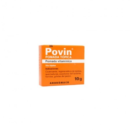 POVIN PDA.X10G